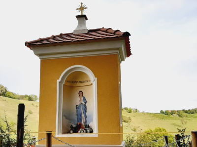 jozefinski referenca 4